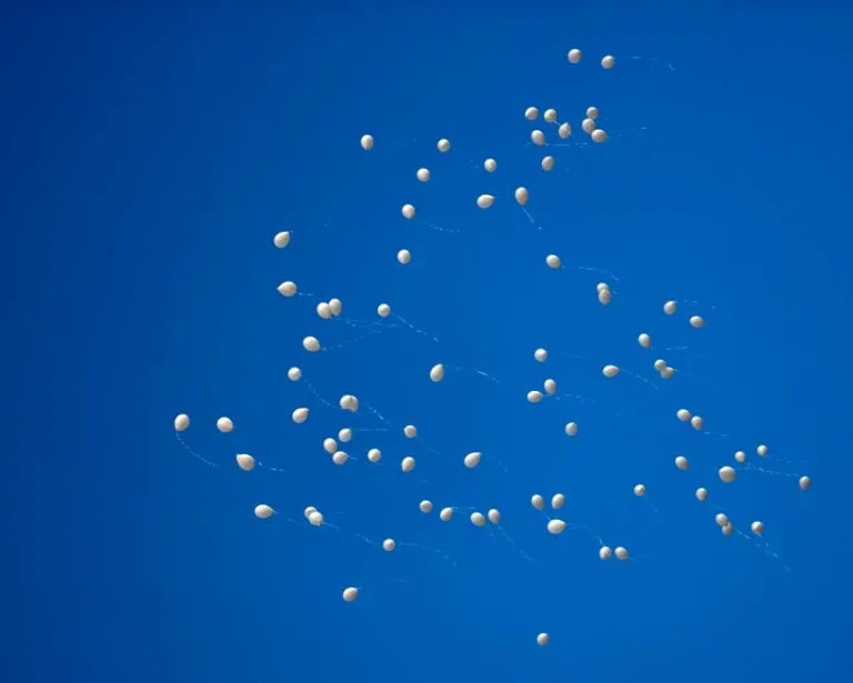 Balloons released into the sky at a wedding in Polignano a Mare