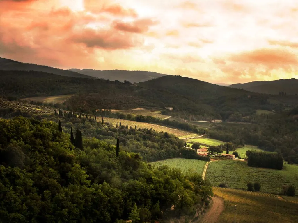 Wedding in the Tuscan countryside